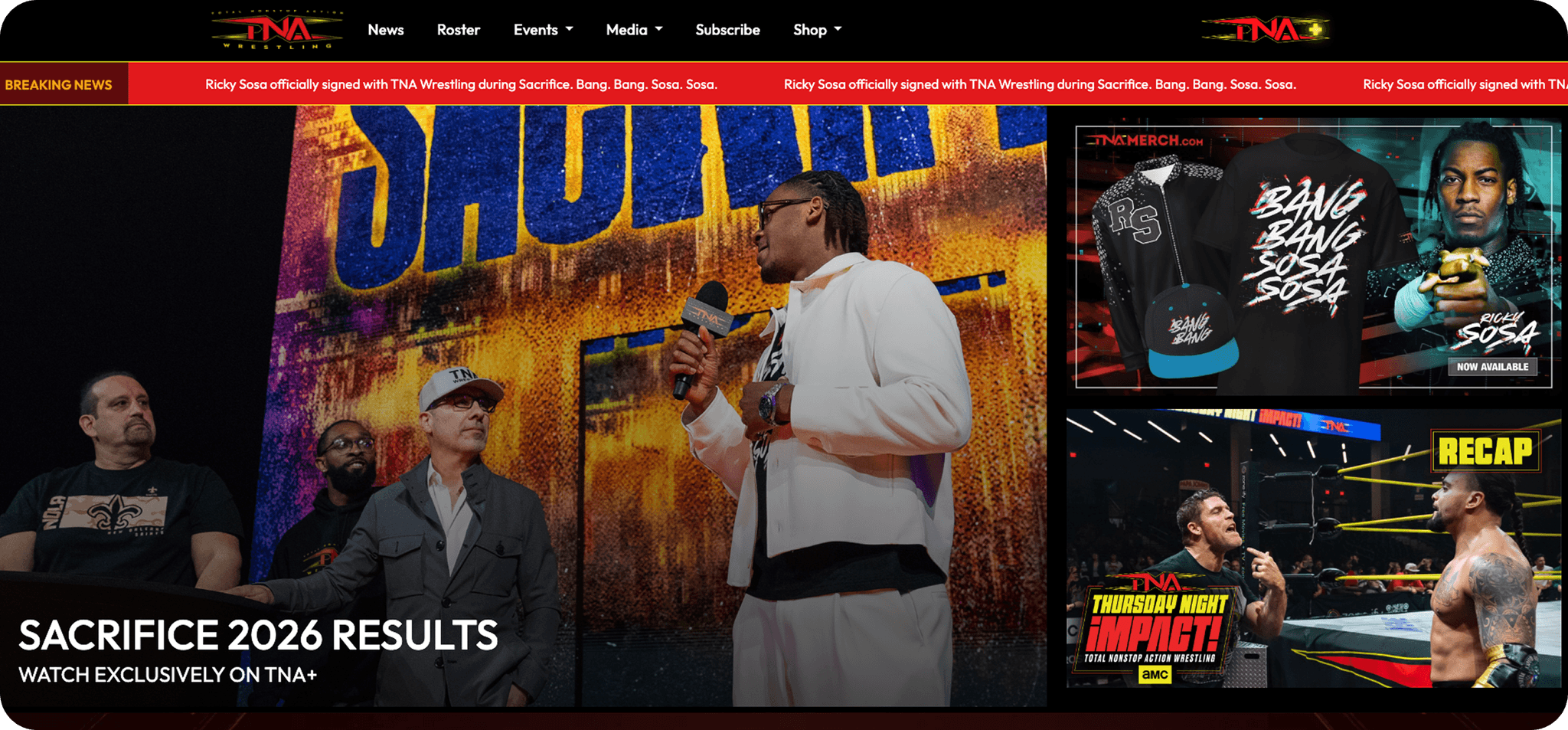 image: TNA - Summary end